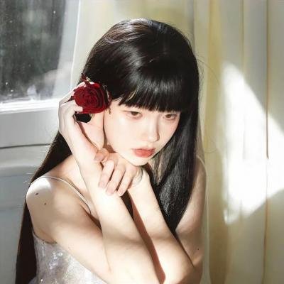 方案